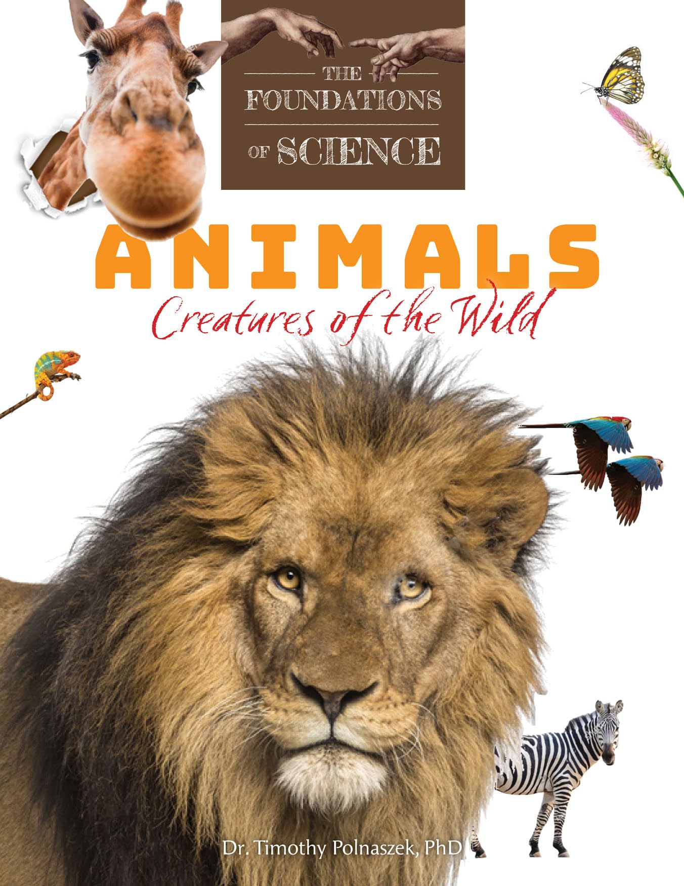 Animals: Creatures of the Wild (The Foundations of Science),Used