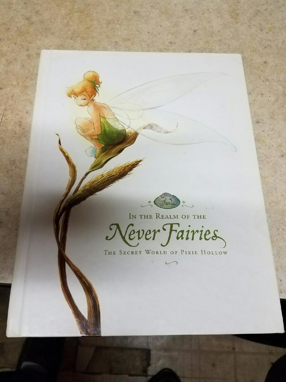 Disney In the Realm of the Never Fairies: Secret World of Pixie Hollow Book - Enchanting Adventure for Young Readers