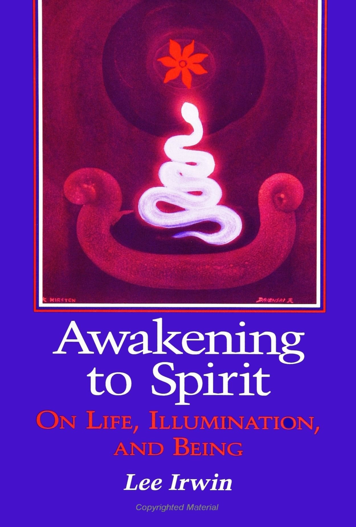 Awakening to Spirit: On Life, Illumination, and Being (Suny Series, Explorations in Contemporary Spirituality),Used