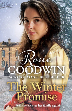 The Winter Promise (Precious Stones),Used