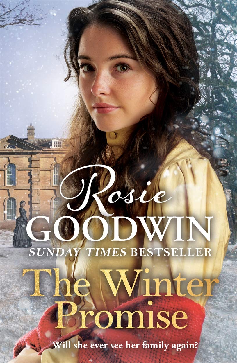The Winter Promise (Precious Stones),Used