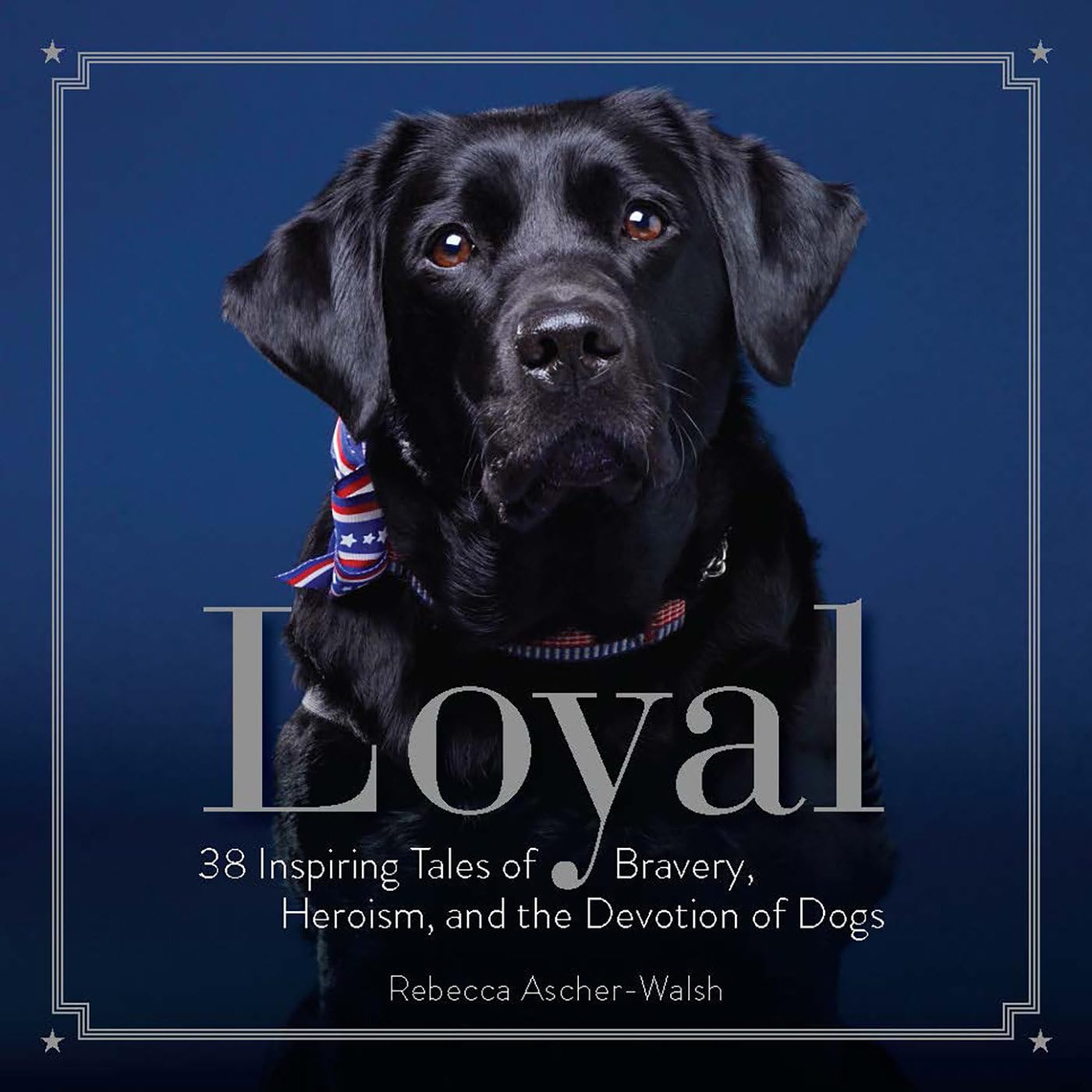 Loyal: 38 Inspiring Tales of Bravery, Heroism, and the Devotion of Dogs,Used