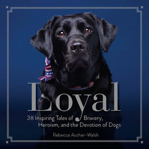 Loyal: 38 Inspiring Tales of Bravery, Heroism, and the Devotion of Dogs,Used