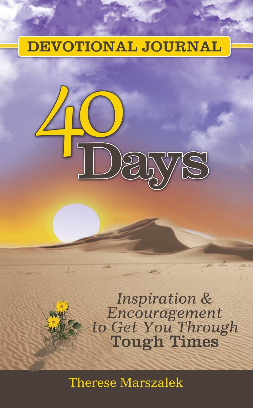 40 Days Devotional Journal,Used