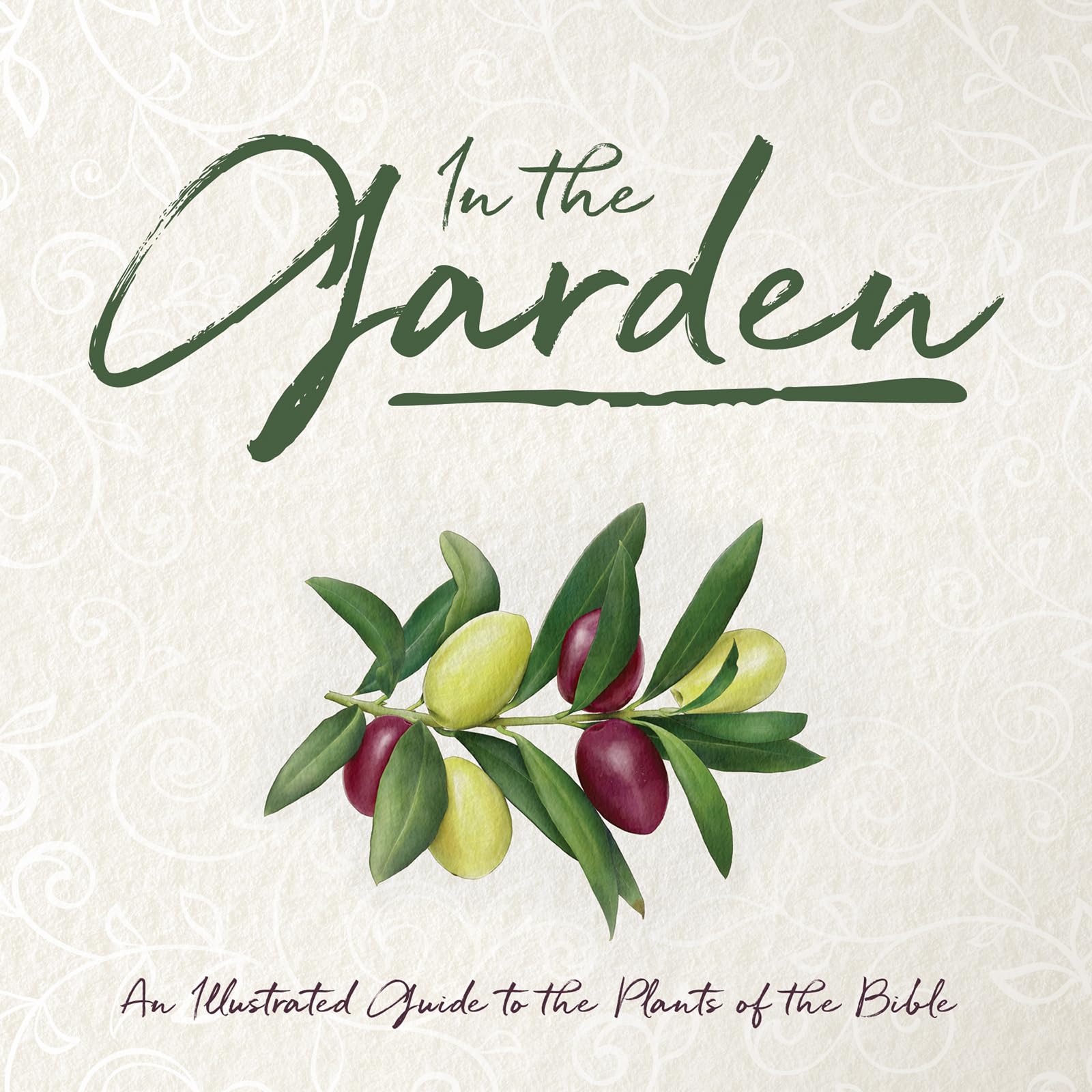 In the Garden: An Illustrated Guide to the Plants of the Bible,New