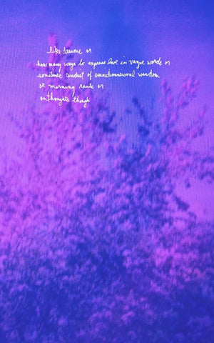 like dreams or how many ways to express love in vague words or sometimes conduit of omnidimensional wisdom or morning rants or o,Used