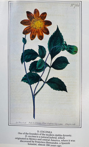 Dahlias (Classic Garden Plants),Used