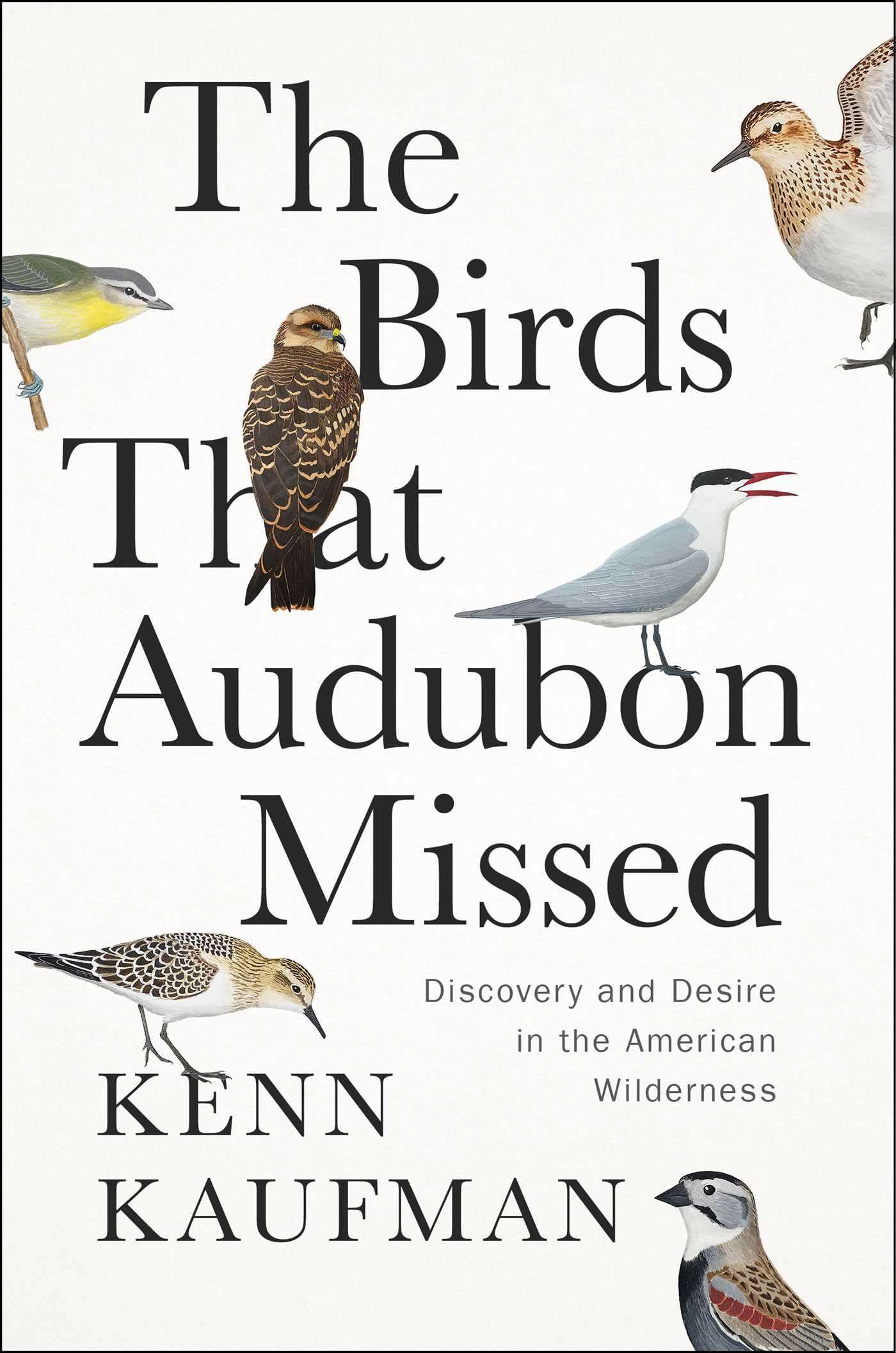 The Birds That Audubon Missed: Discovery And Desire In The American Wilderness,Used