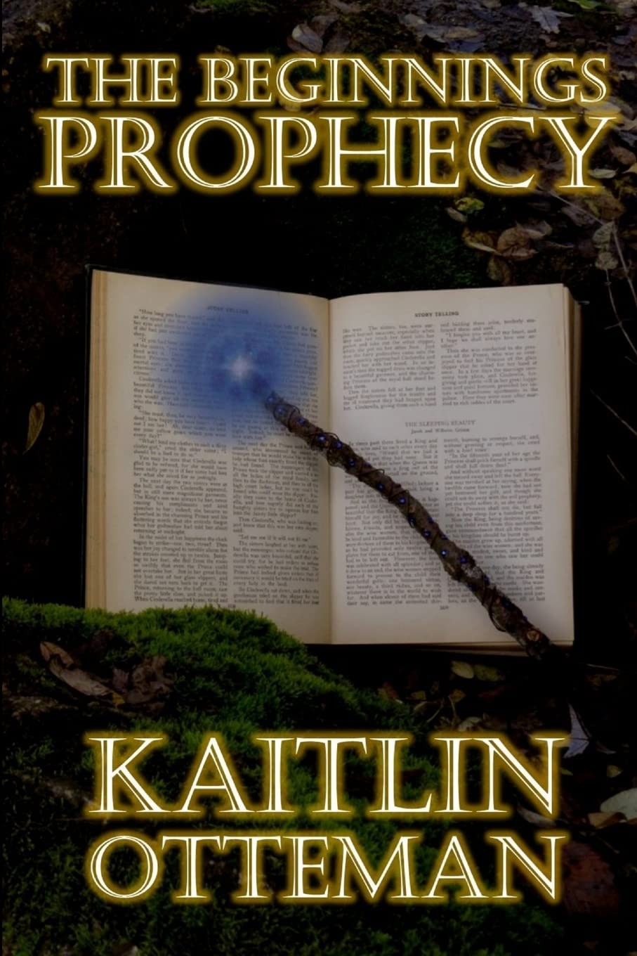 The Beginnings Prophecy,Used