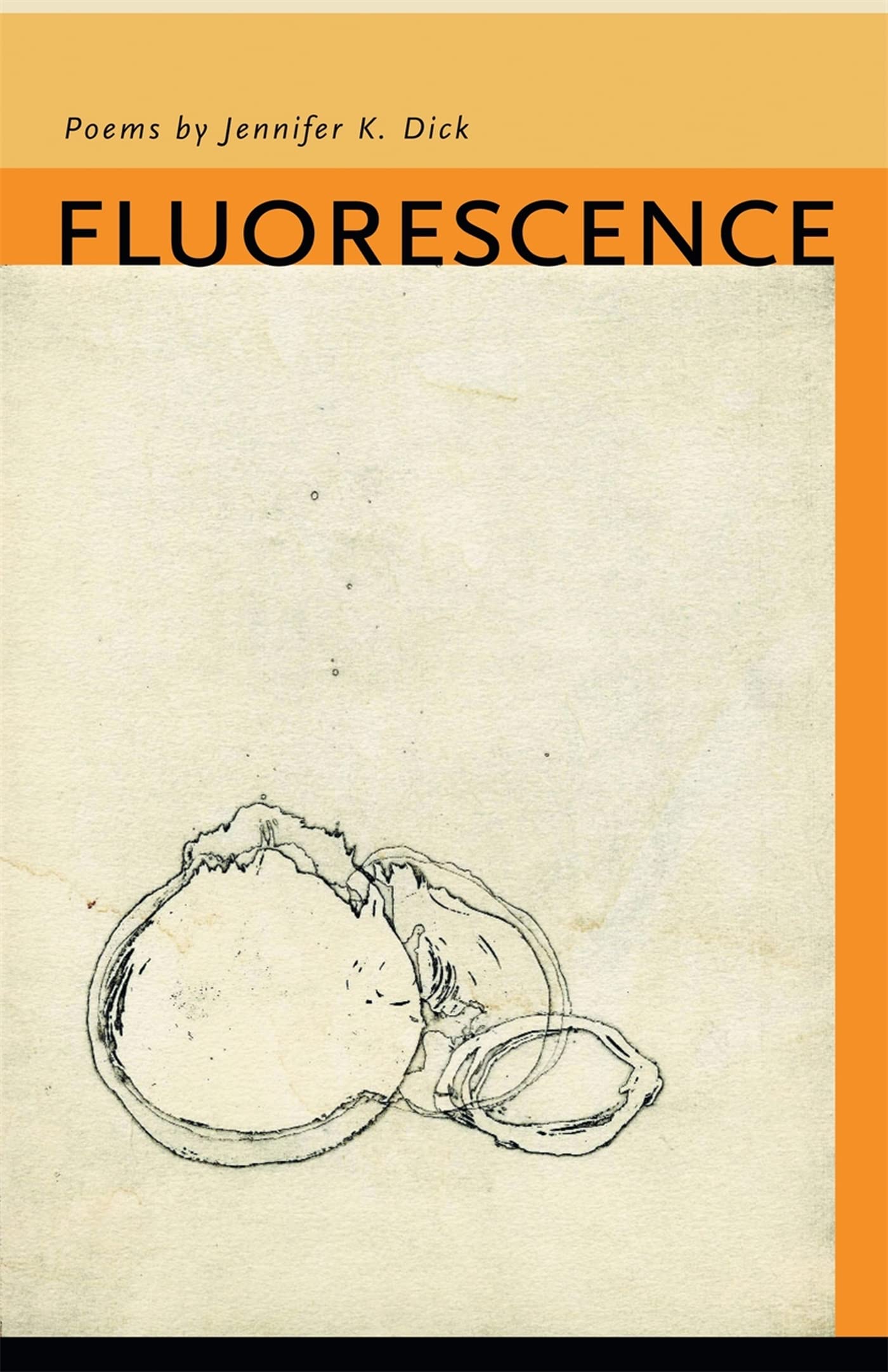 Fluorescence: Poems (The Contemporary Poetry Ser.),Used