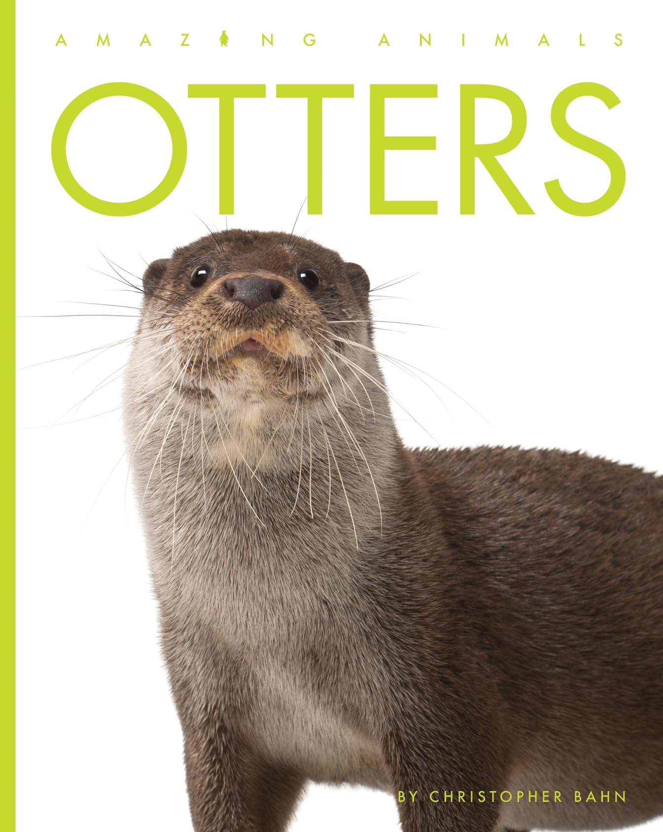 OTTERS