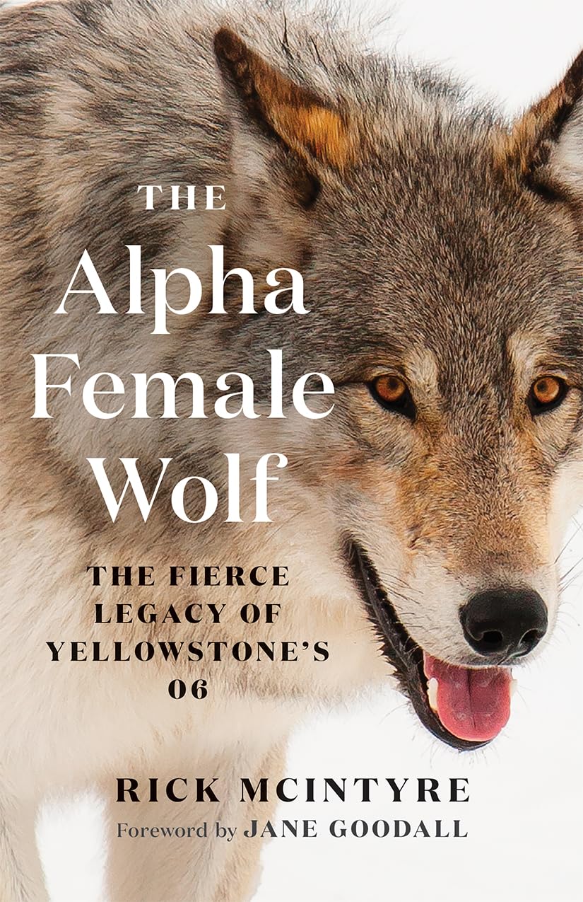 The Alpha Female Wolf: The Fierce Legacy of Yellowstone's 06 (The Alpha Wolves of Yellowstone),New