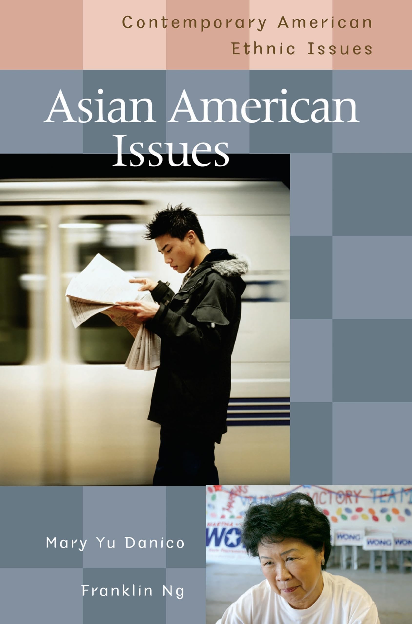 Asian American Issues (Contemporary American Ethnic Issues),Used