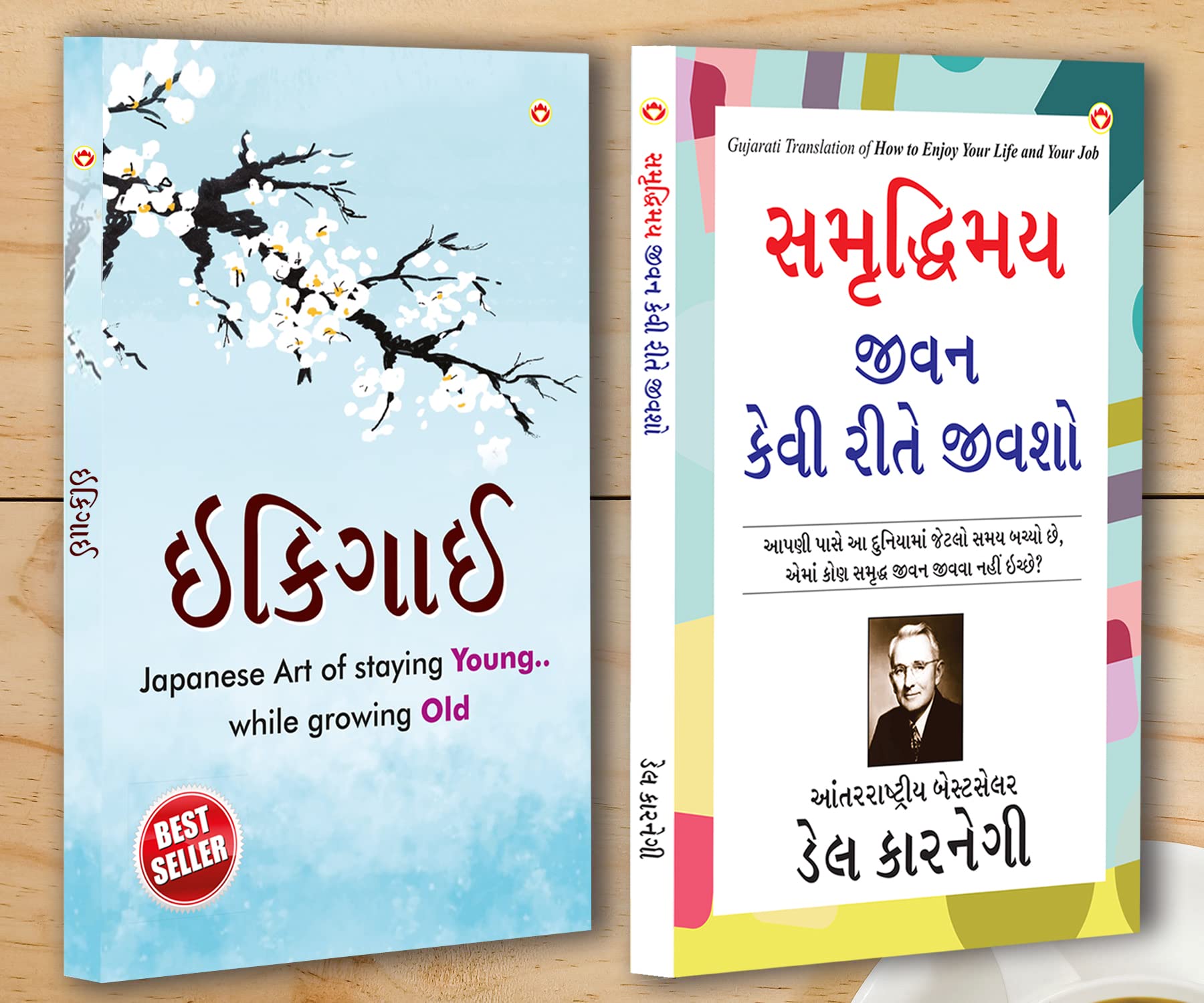 Best Inspirational Books In Gujarati - Ikigai + How To Enjoy Your Life And Your Job