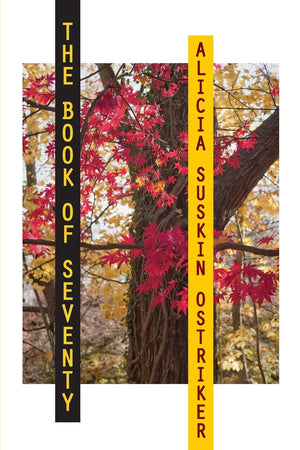 The Book Of Seventy (Pitt Poetry Series),New