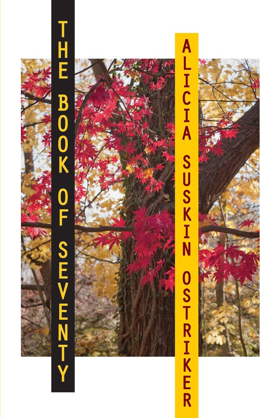 The Book Of Seventy (Pitt Poetry Series),New
