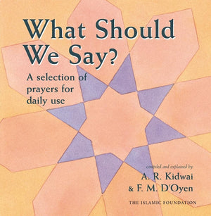 What Should We Say?,Used