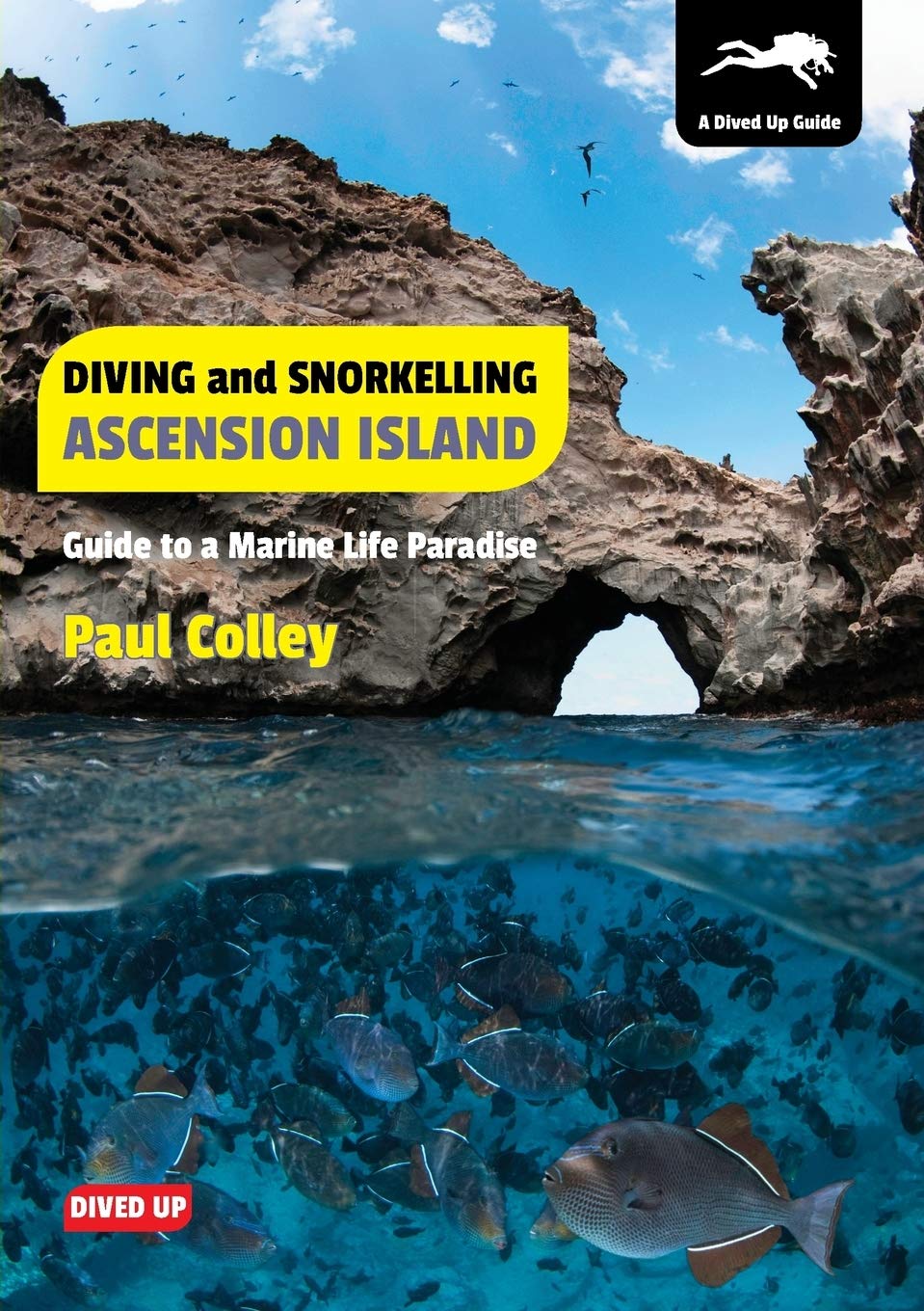 Diving and Snorkelling Ascension Island: Guide to a Marine Life Paradise,Used