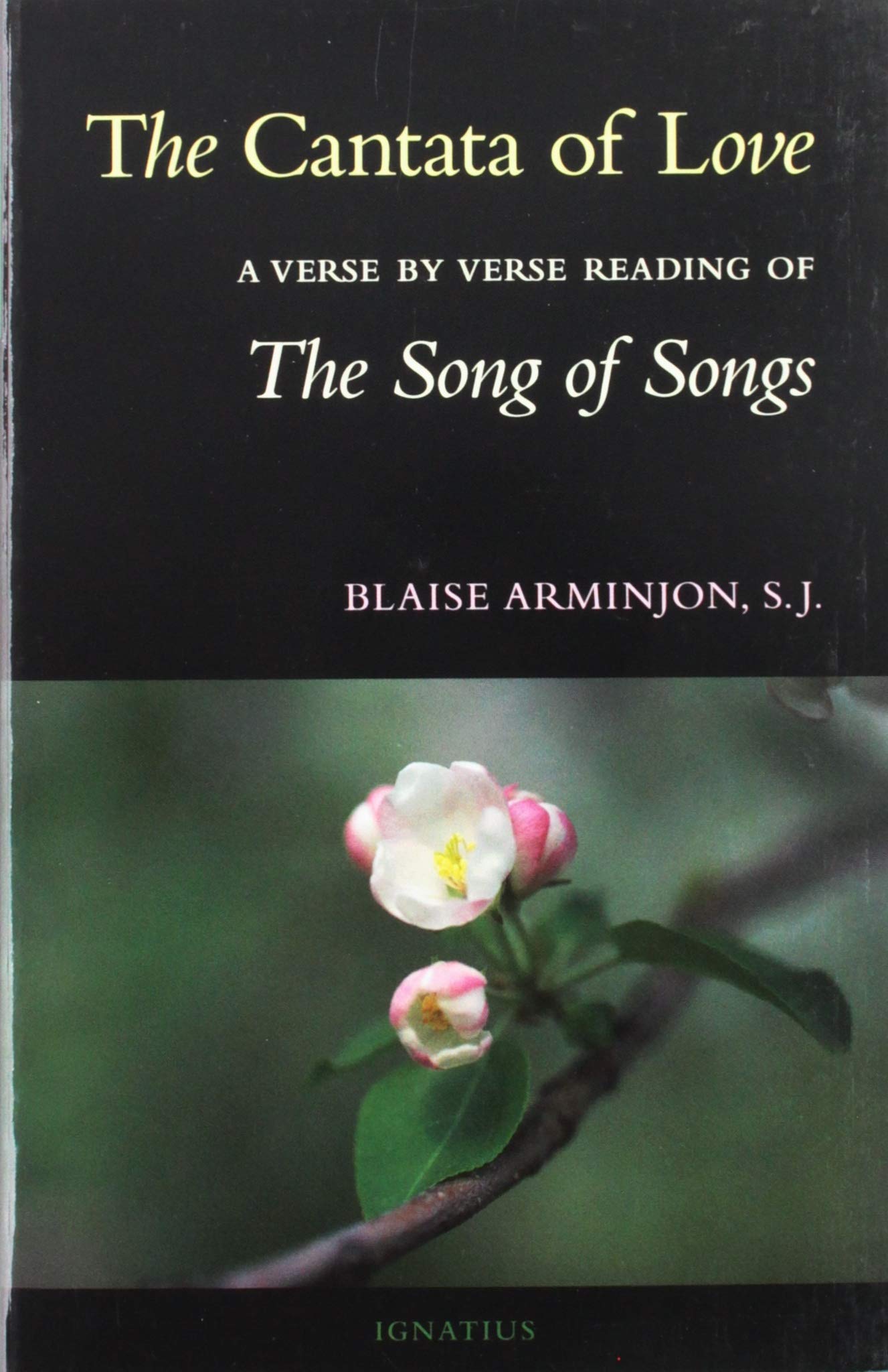 The Cantata of Love: A Verse by Verse Reading of The Song of Songs,New