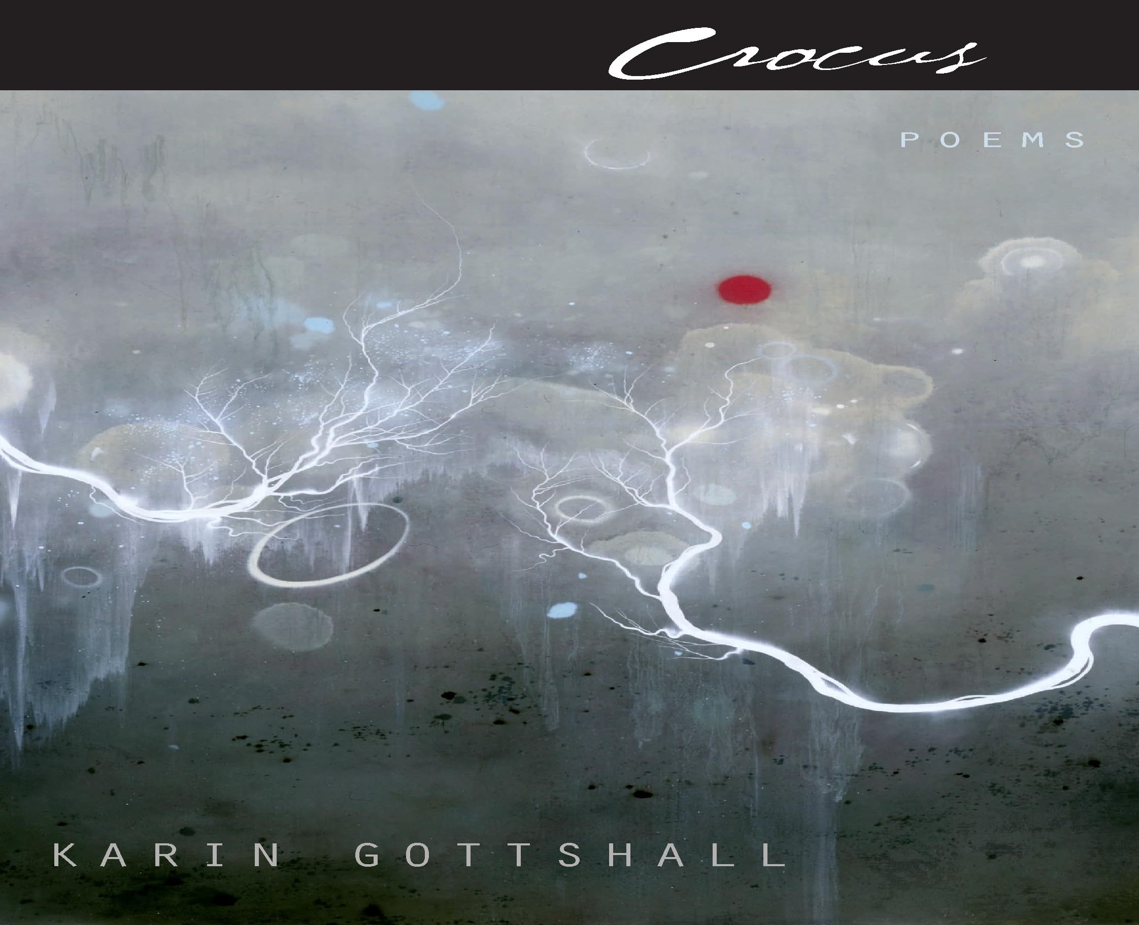 Crocus (Poets Out Loud),Used