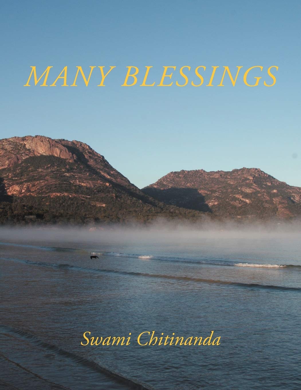Many Blessings,Used