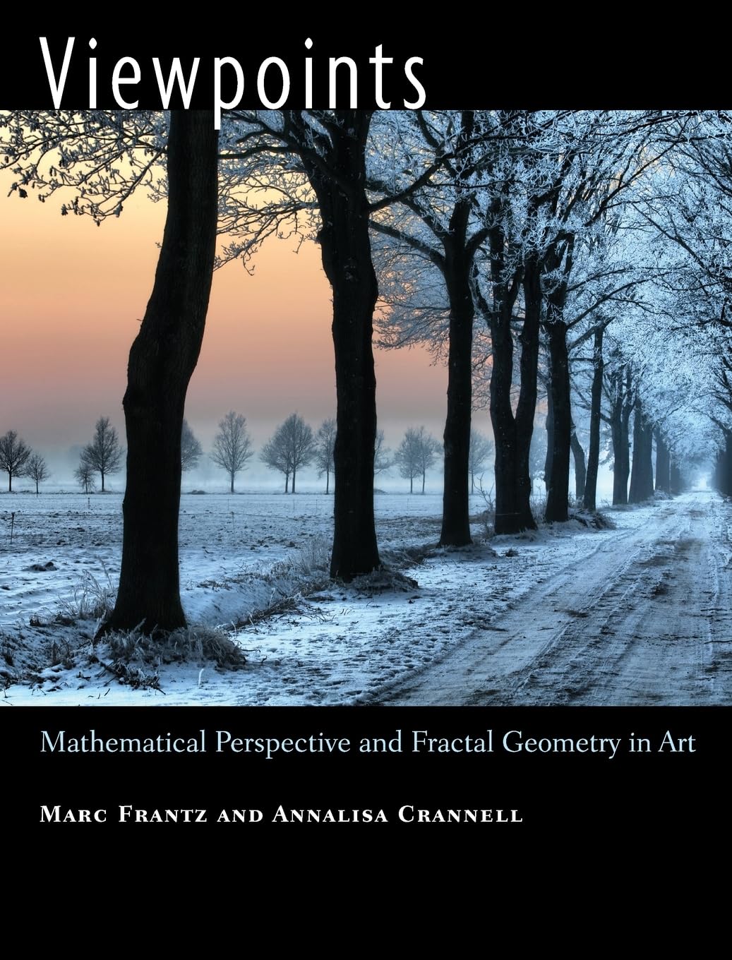 Viewpoints: Mathematical Perspective and Fractal Geometry in Art,Used