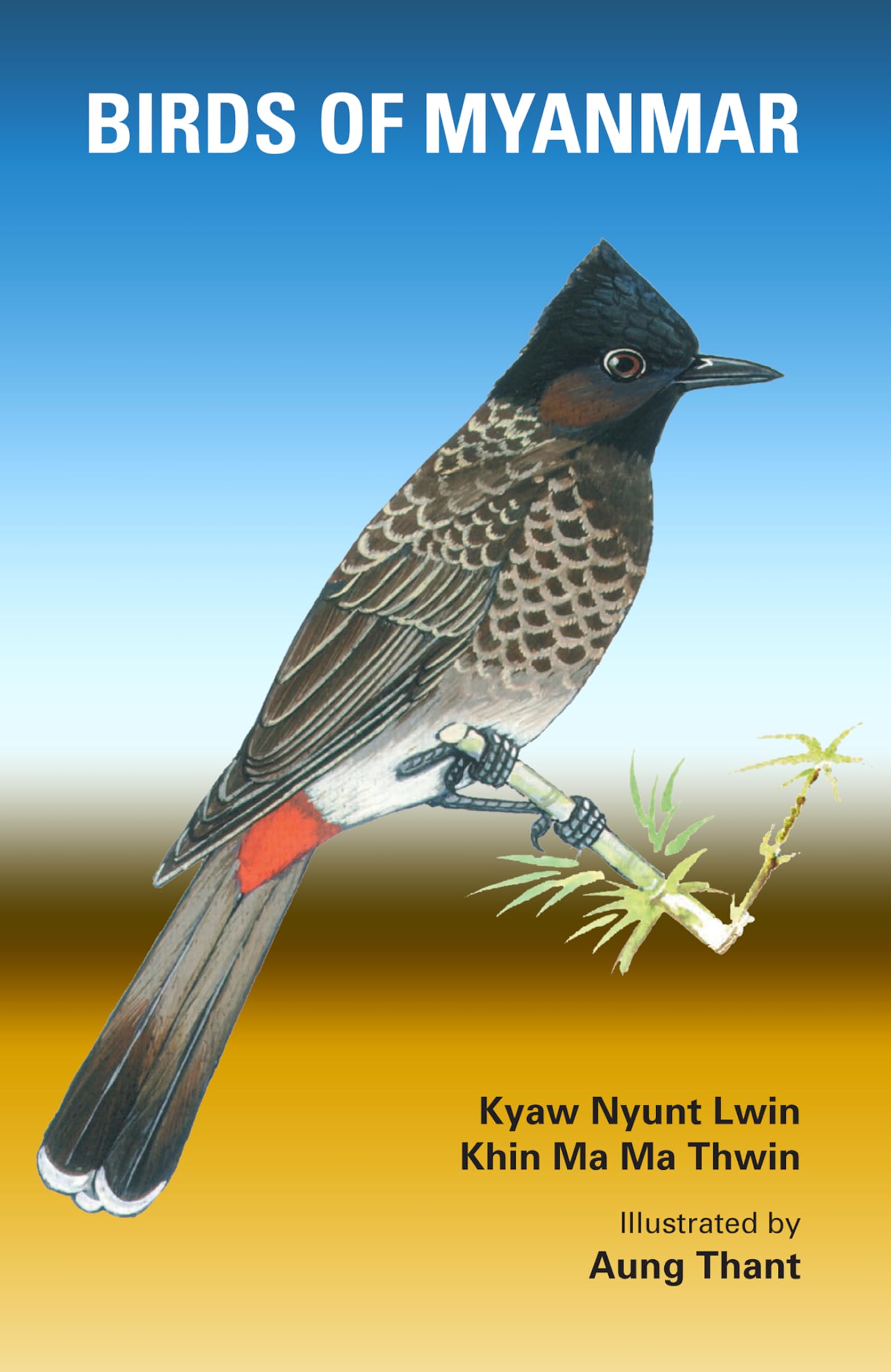 Birds of Myanmar,Used