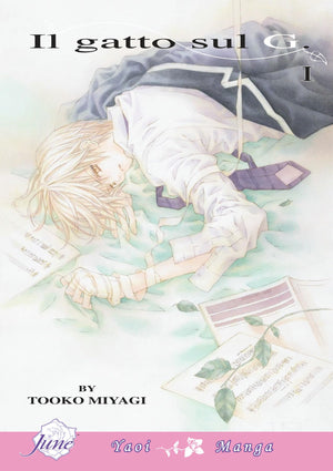 Il Gatto Sul G, Volume 1,Used
