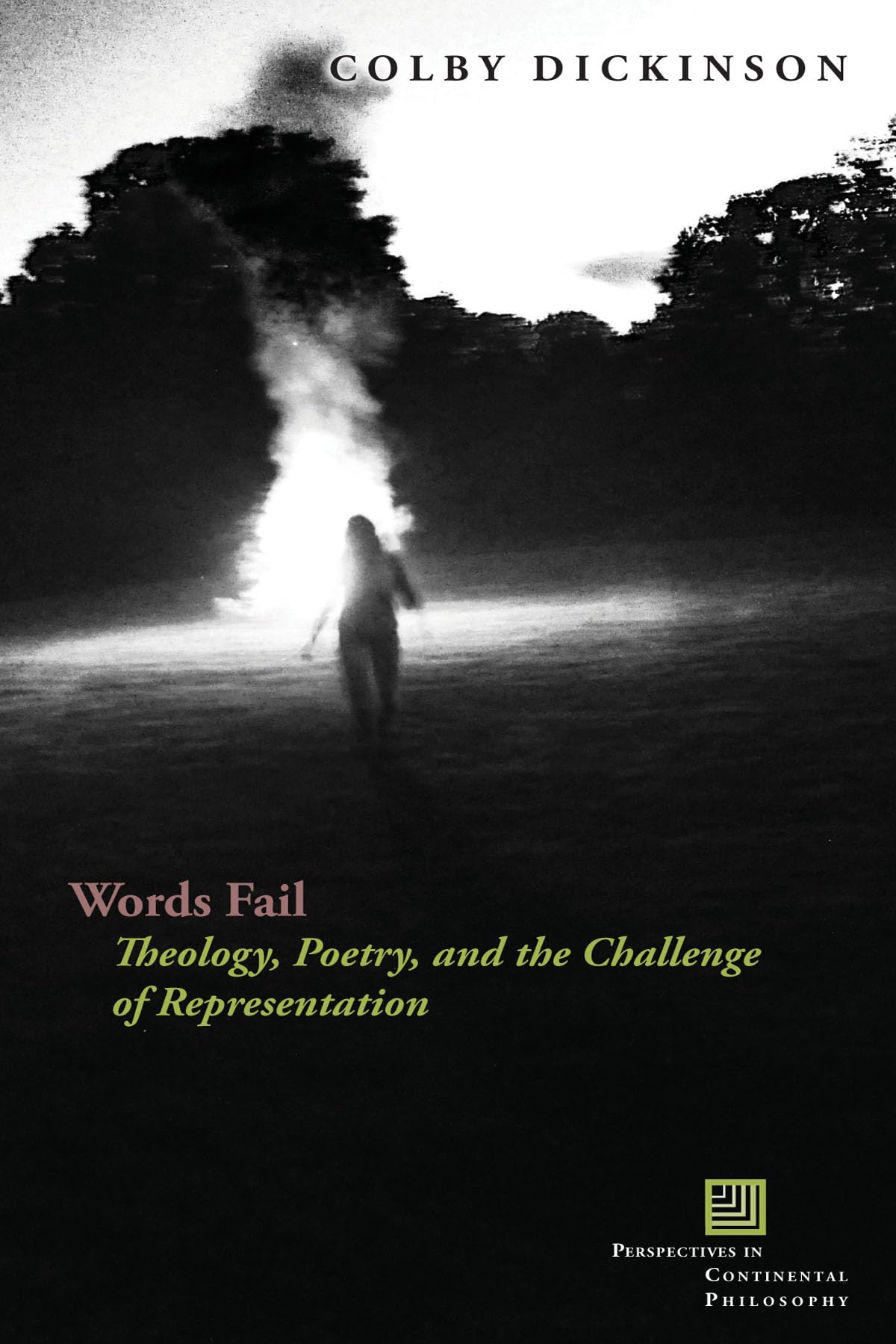 Words Fail: Theology, Poetry, and the Challenge of Representation (Perspectives in Continental Philosophy),Used