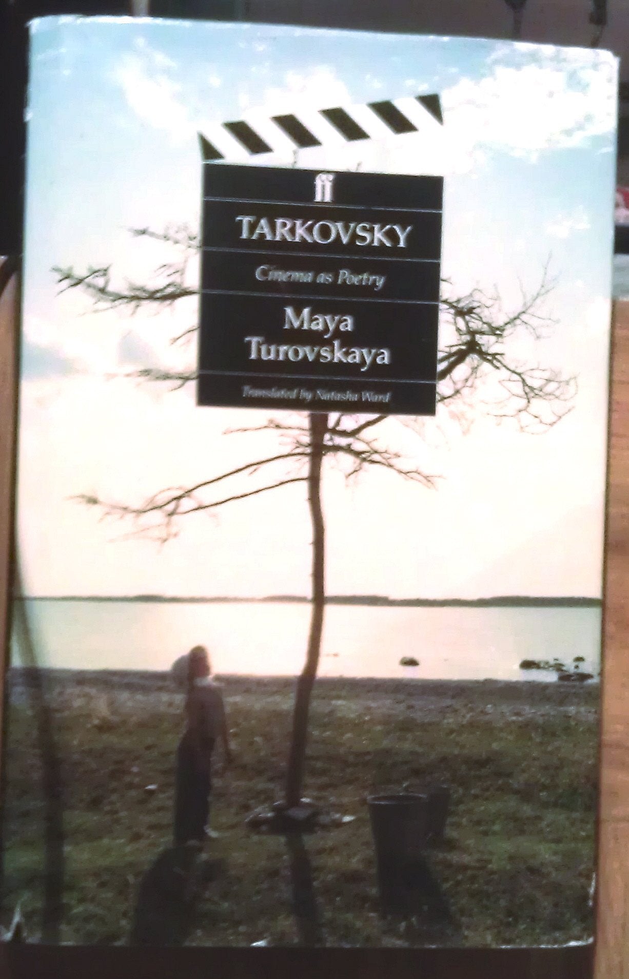 Tarkovsky: Cinema As Poetry,New