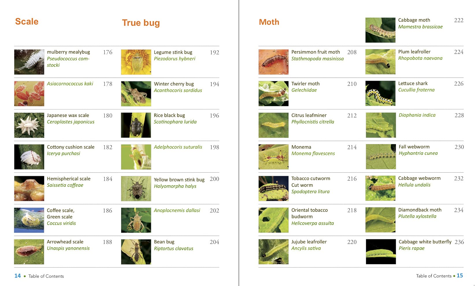 JADAM Organic Pest and Disease Control - DIY Solutions for 167 Common Garden Pests and Diseases