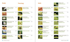 JADAM Organic Pest and Disease Control - DIY Solutions for 167 Common Garden Pests and Diseases