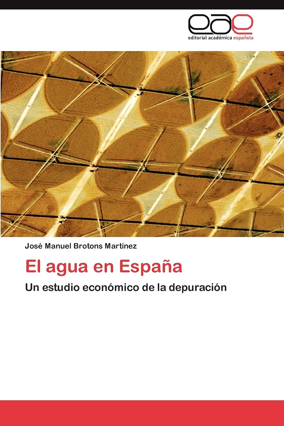 El agua en Espaa: Un estudio econmico de la depuracin (Spanish Edition),Used