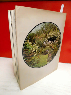 The Englishwoman's Garden,Used