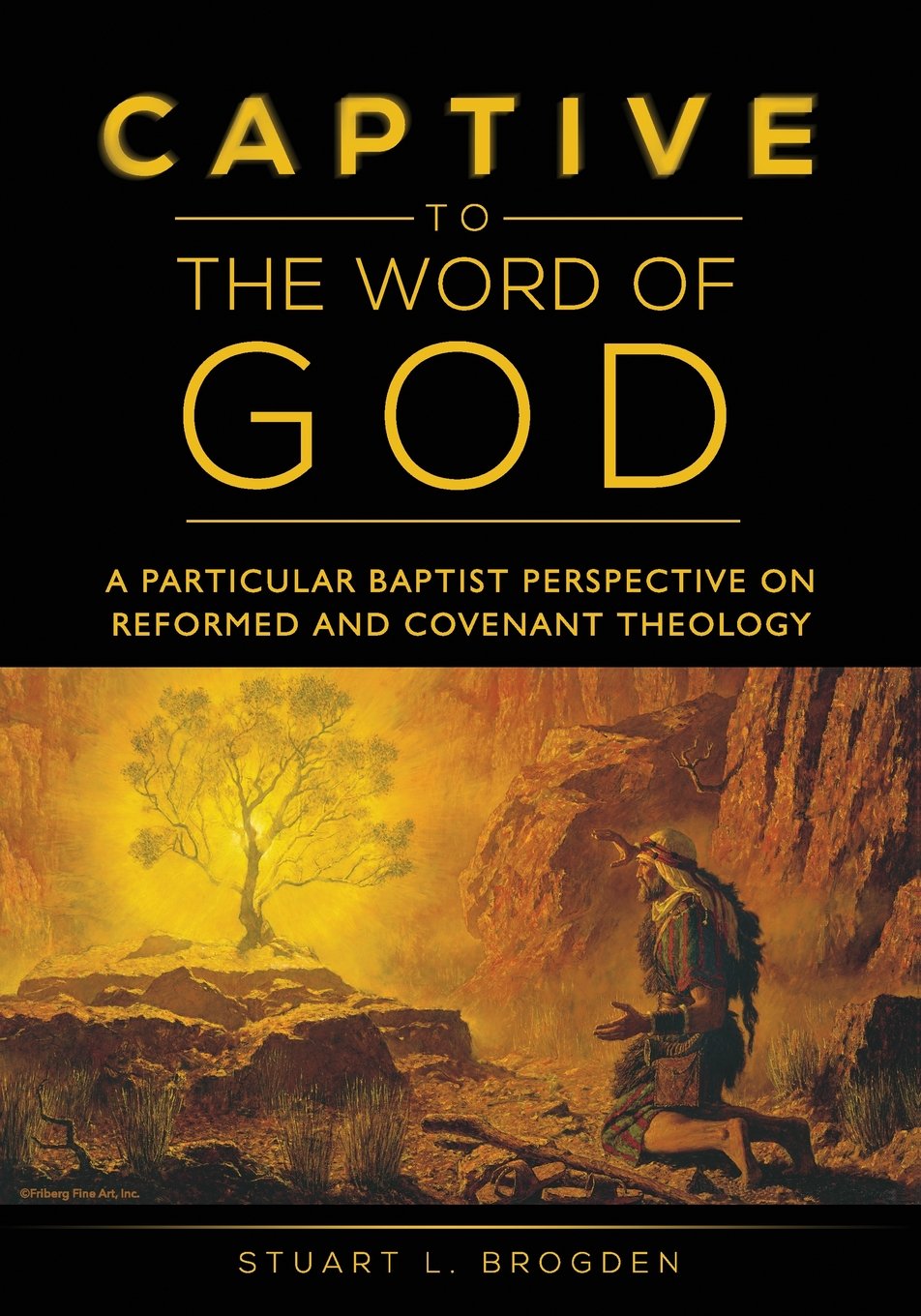 Captive to the Word of God: A Particular Baptist Perspective On Reformed And Covenant Theology,Used