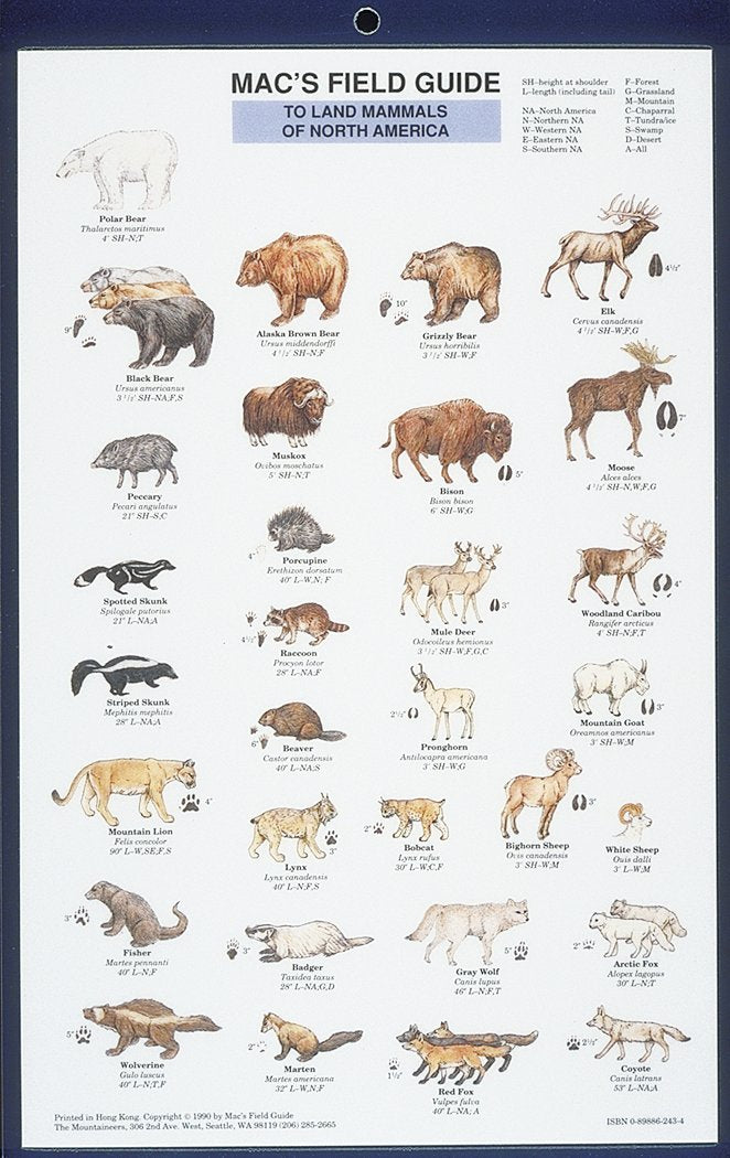 Mac's Field Guides: North American Land Mammals (Mac's Guides (Paperback)),New