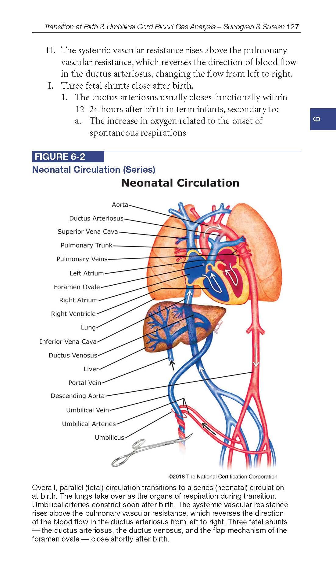 Golden Hours Care of the Very Low Birth Weight Neonate,Used