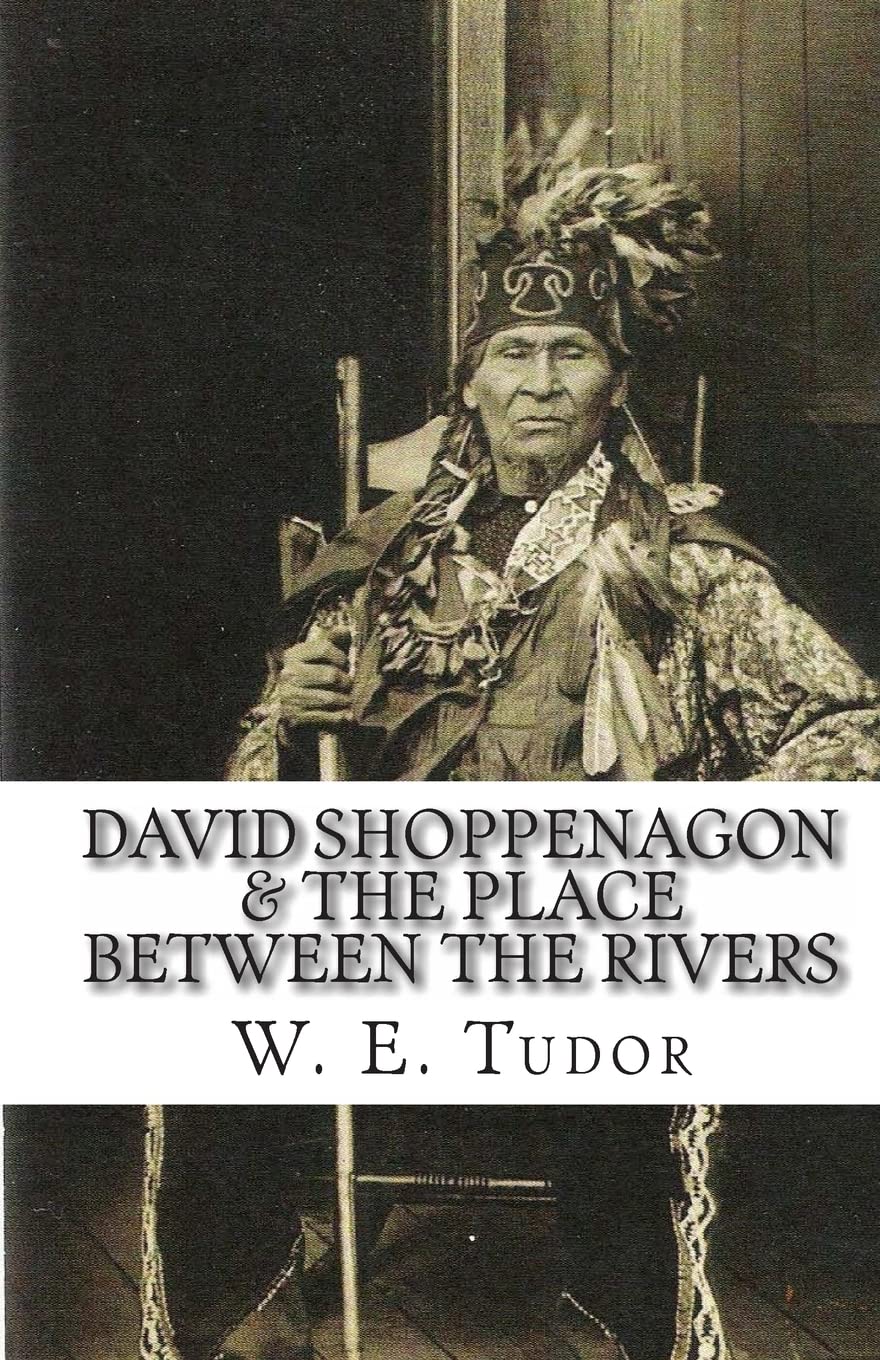 David Shoppenagon & The Place Between The Rivers,Used