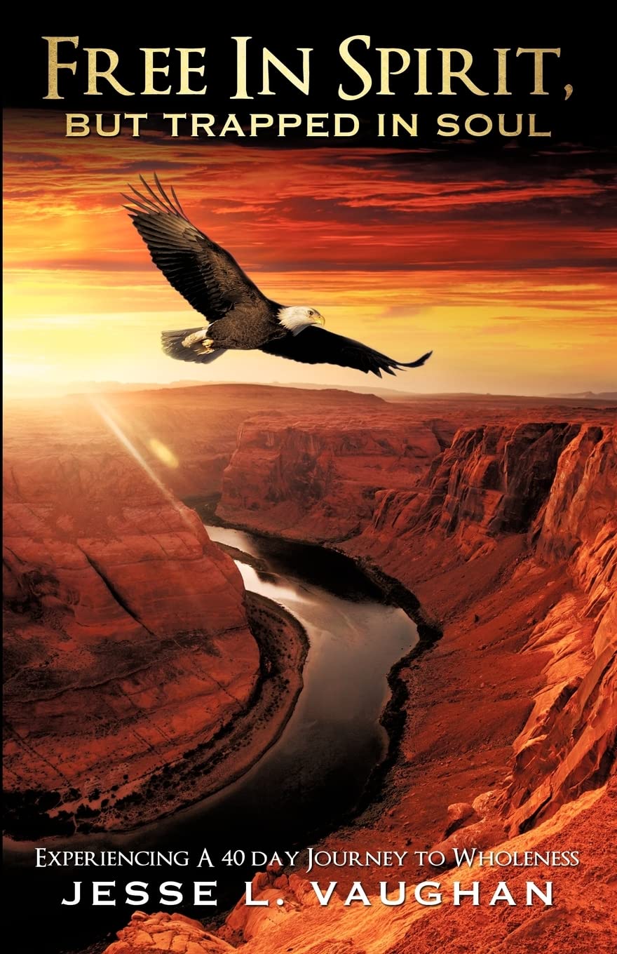 Free In Spirit, But Trapped In Soul,Used