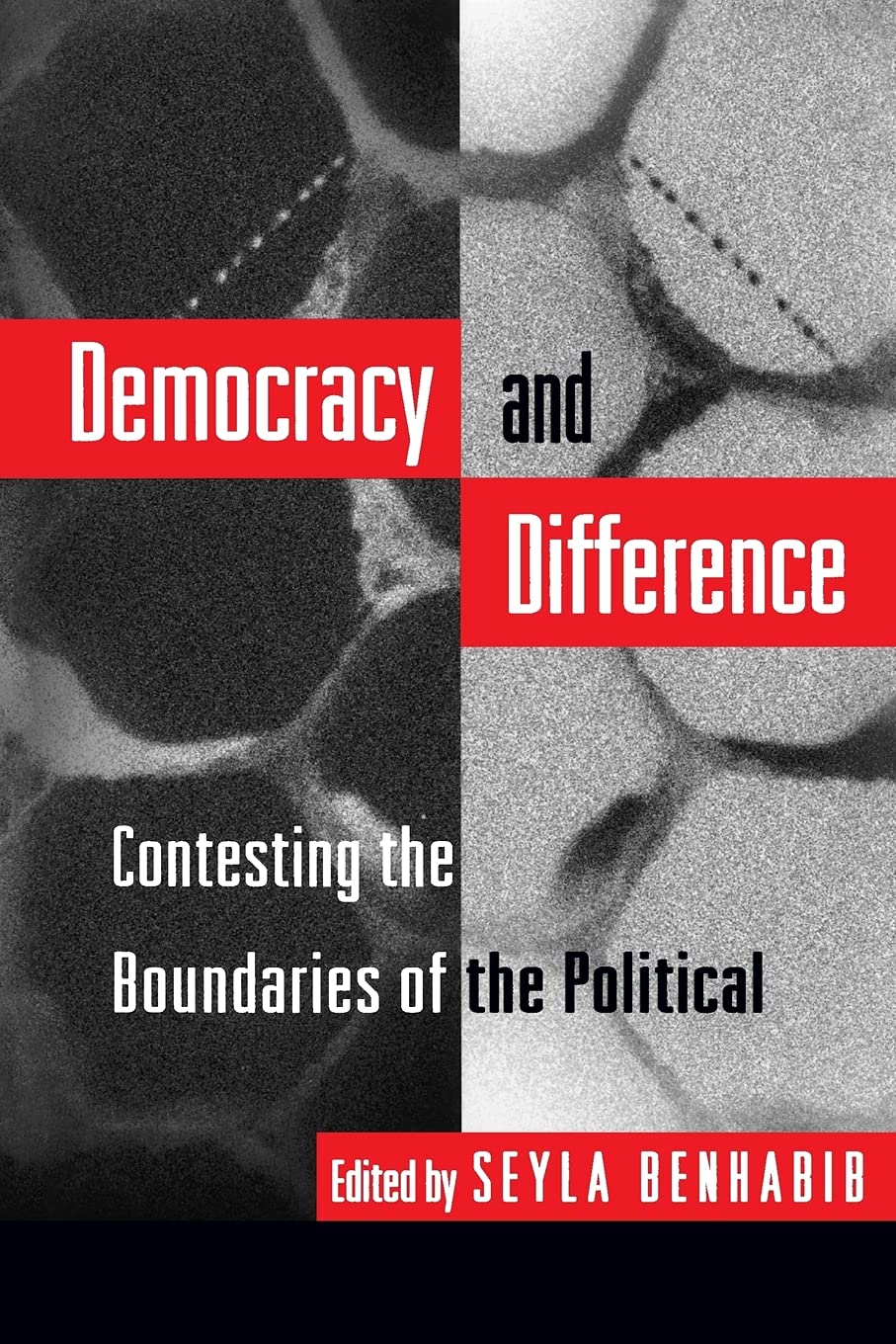 Democracy and Difference,Used
