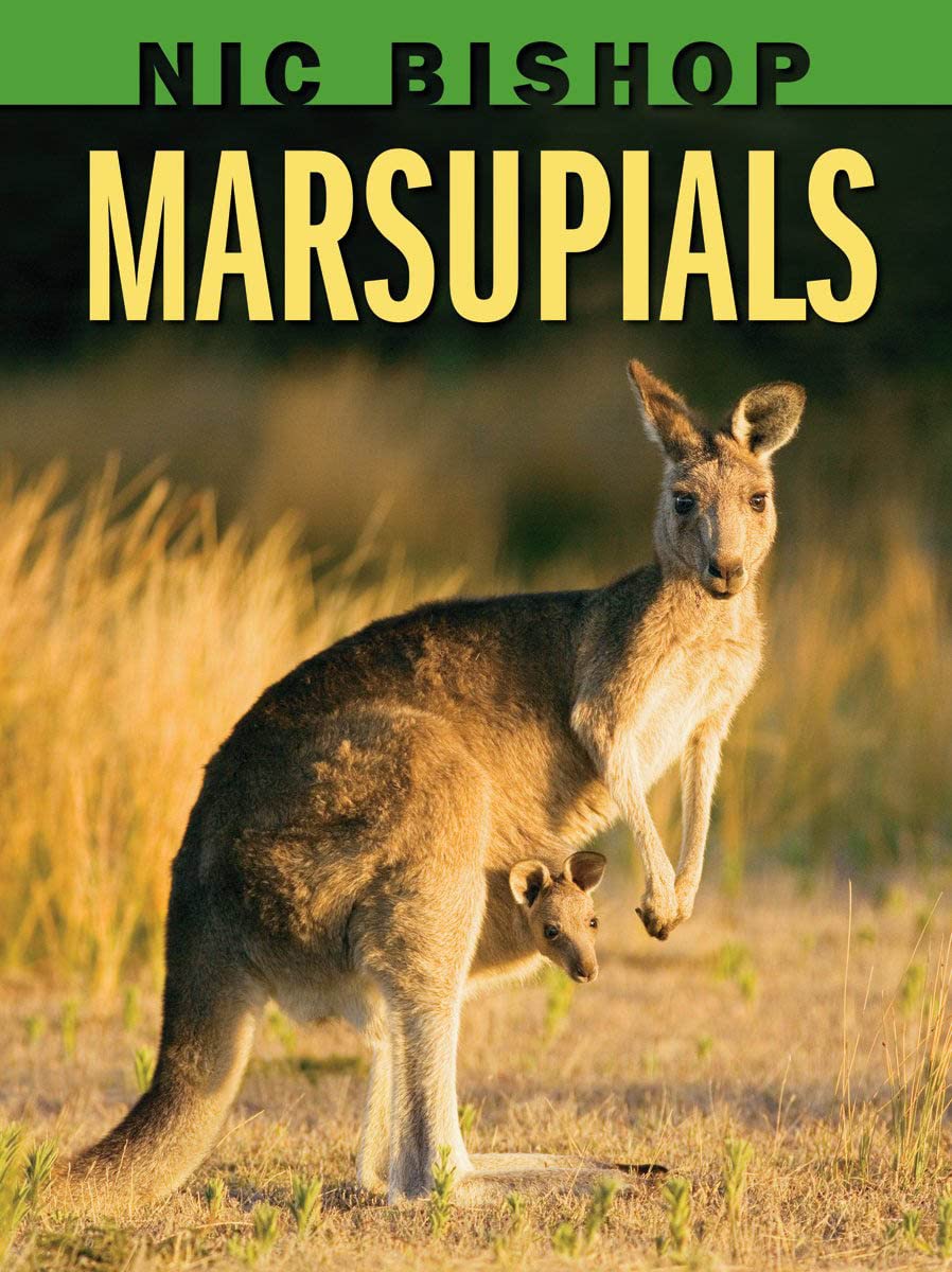 Nic Bishop: Marsupials,Used