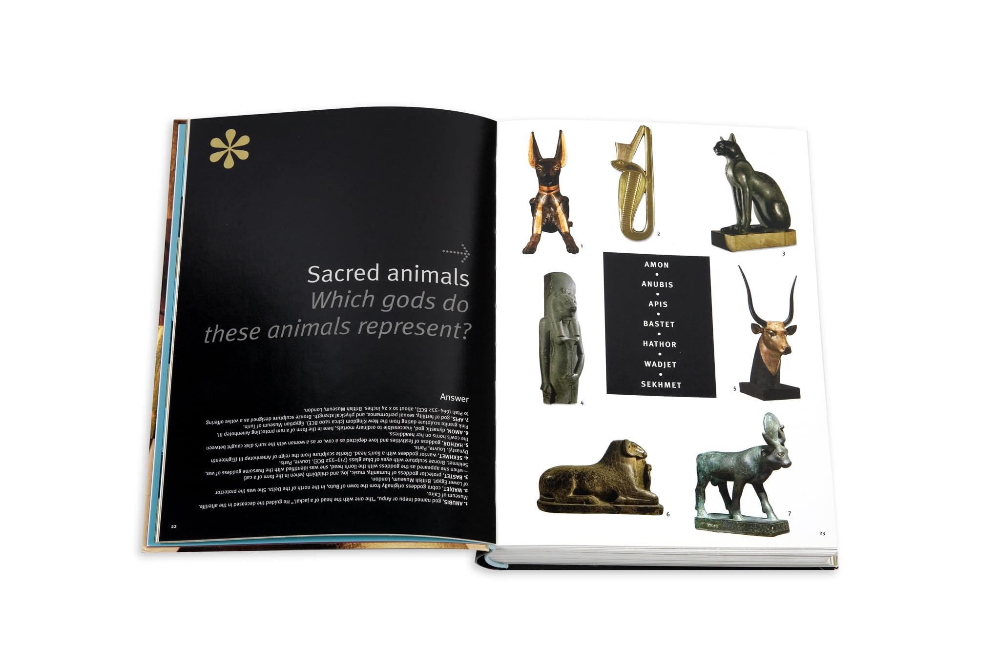 Egypt Game Book Schneiter, Berenice Geoffroy  Assouline Coffee Table Book,Used