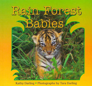 Rain Forest Babies,Used