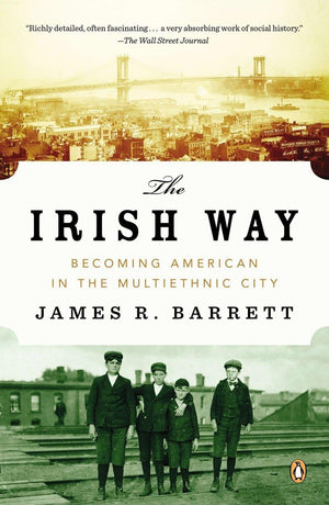 The Irish Way: Becoming American In The Multiethnic City (The Penguin History Of American Life)