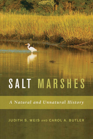 Salt Marshes: A Natural And Unnatural History,Used