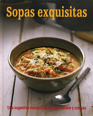 Sopas Exquisitas (Spanish Edition),Used