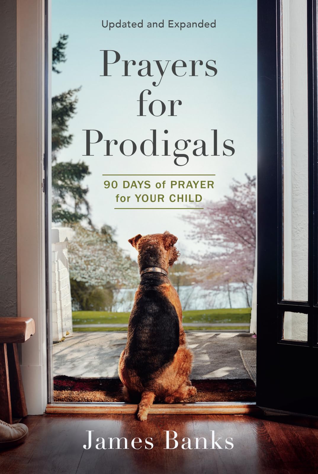 Prayers for Prodigals: 90 Days of Prayer for Your Child (A Daily Devotional for Parents with Bible Readings and Meditations for ,Used