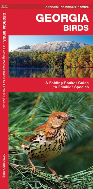 Georgia Birds: A Folding Pocket Guide to Familiar Species (Wildlife and Nature Identification),Used