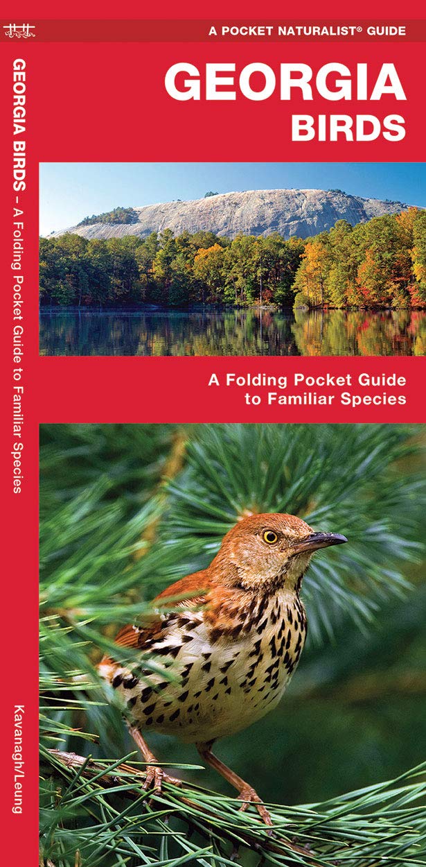 Georgia Birds: A Folding Pocket Guide to Familiar Species (Wildlife and Nature Identification),Used