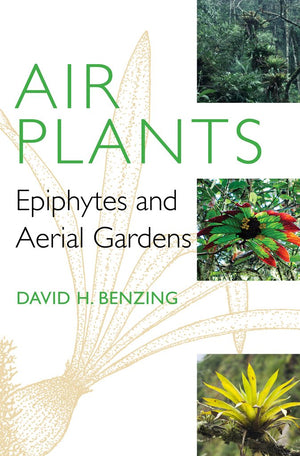Air Plants: Epiphytes and Aerial Gardens,Used